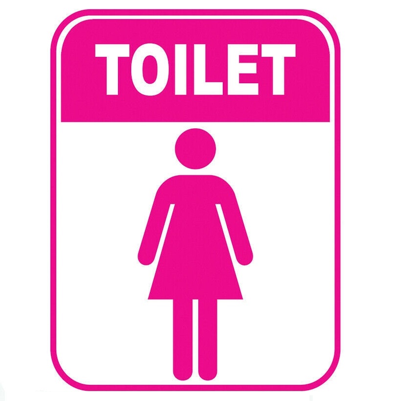 girls toilet project logo